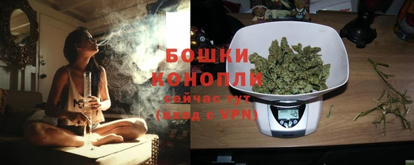 дурь Лабытнанги