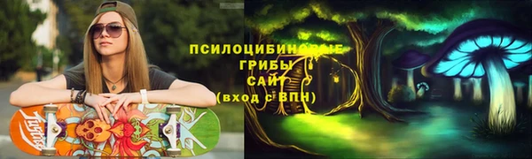 дурь Лабытнанги