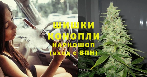 СК Ладушкин