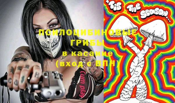 дурь Лабытнанги