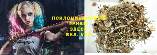 дурь Лабытнанги