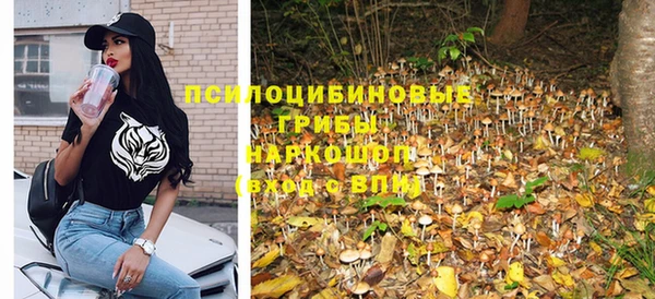 дурь Лабытнанги